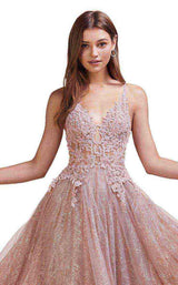 5 of 7 Andrea And Leo A0681