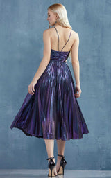 4 of 8 Andrea and Leo A0864 Galaxy