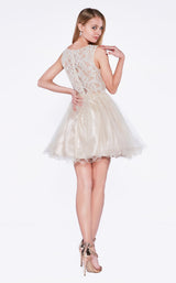 Cinderella Divine CD0117 Dress Champagne