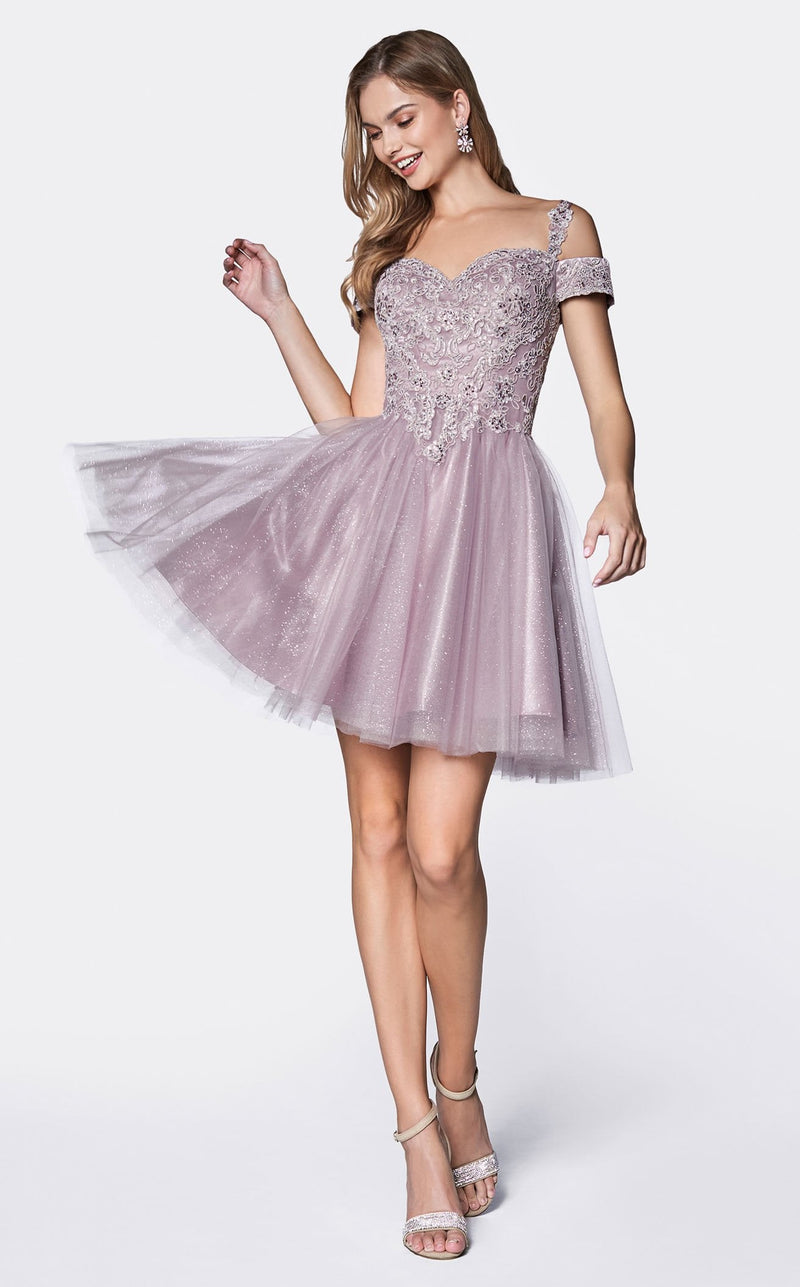short lavender dama dresses Cute Short Lavender Dama Dresses Quinceanera Damas Dresses Philadelphia KY Shop Quince Party
