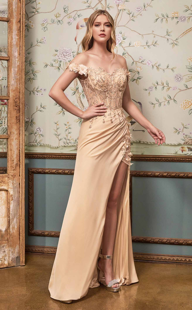 cinderella divine cd0186 corset long prom dress Fitted 3D Floral Corset Gown by Cinderella Divine CD0186 ABC Fashion