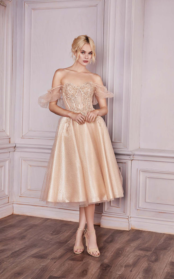 Cinderella Divine CD0187 Dress Champagne