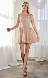1 of 2 Cinderella Divine CD204 Dress Mauve