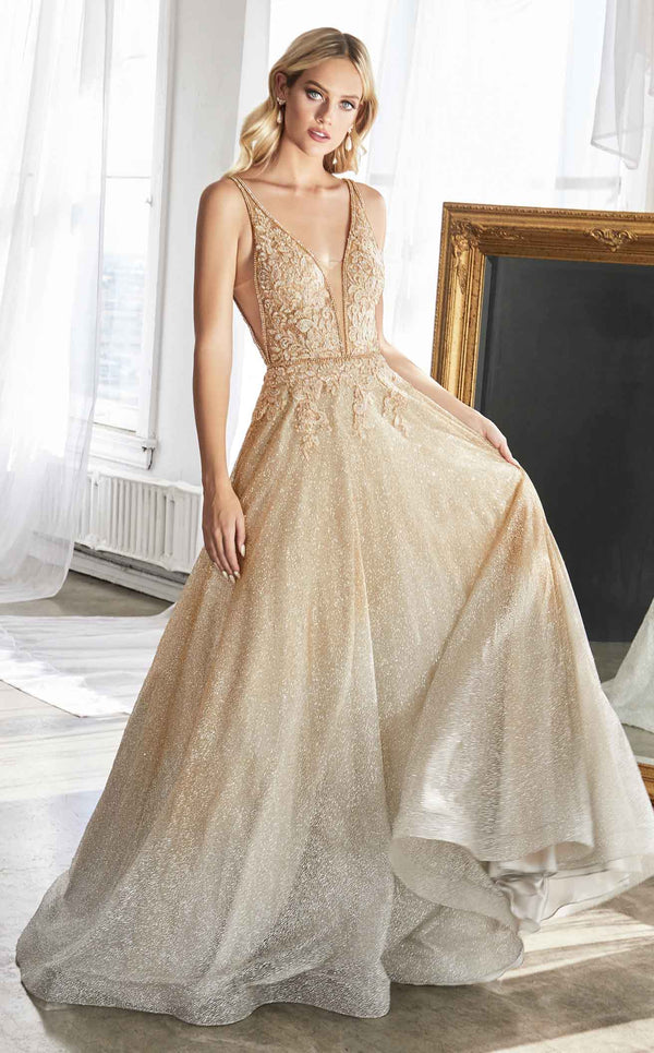 Cinderella Divine CD208 Dress Gold-Silver