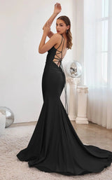 LaDivine CD2219 Dress Black