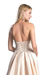 16 of 18 Cinderella Divine CJ213 Champagne