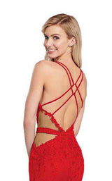 17 of 18 Ellie Wilde EW119047 Red