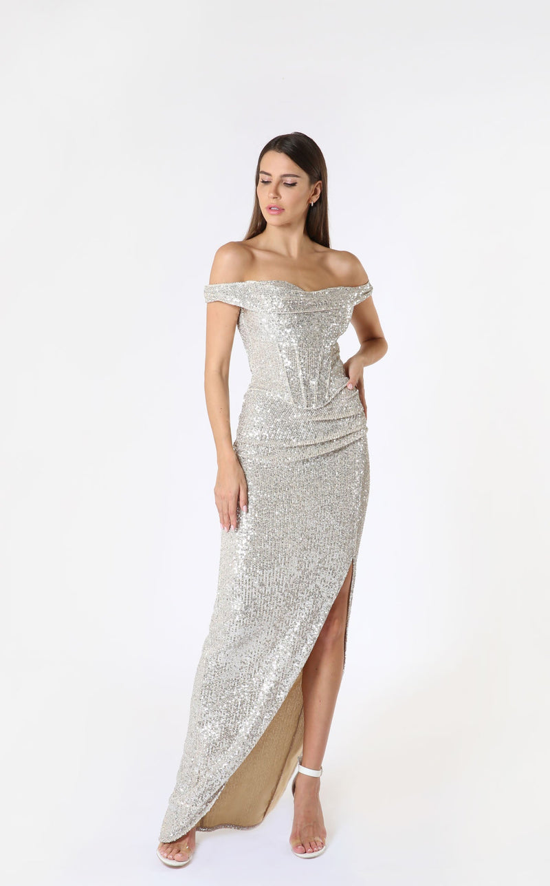 Zeena Zaki FW212212 Dress Silver