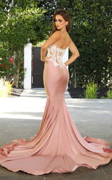 5 of 6 Portia and Scarlett PS21175 Dress Blush-Ivory