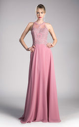 Cinderella Divine UJ0120 Dress Rose
