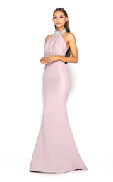 9 of 10 Portia and Scarlett Amanda Gown