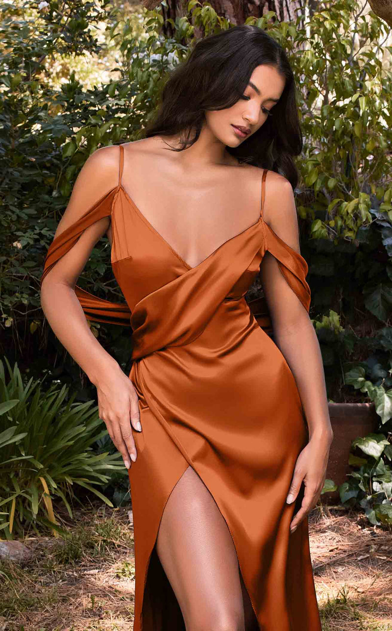 LaDivine BD109 Dress Sienna