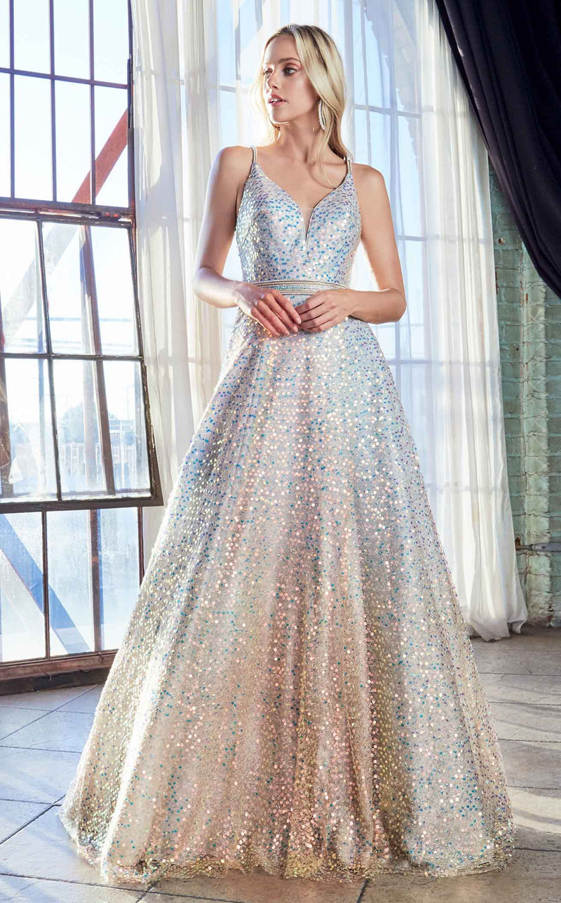 Cinderella Divine CW148 Dress Opal-Silver