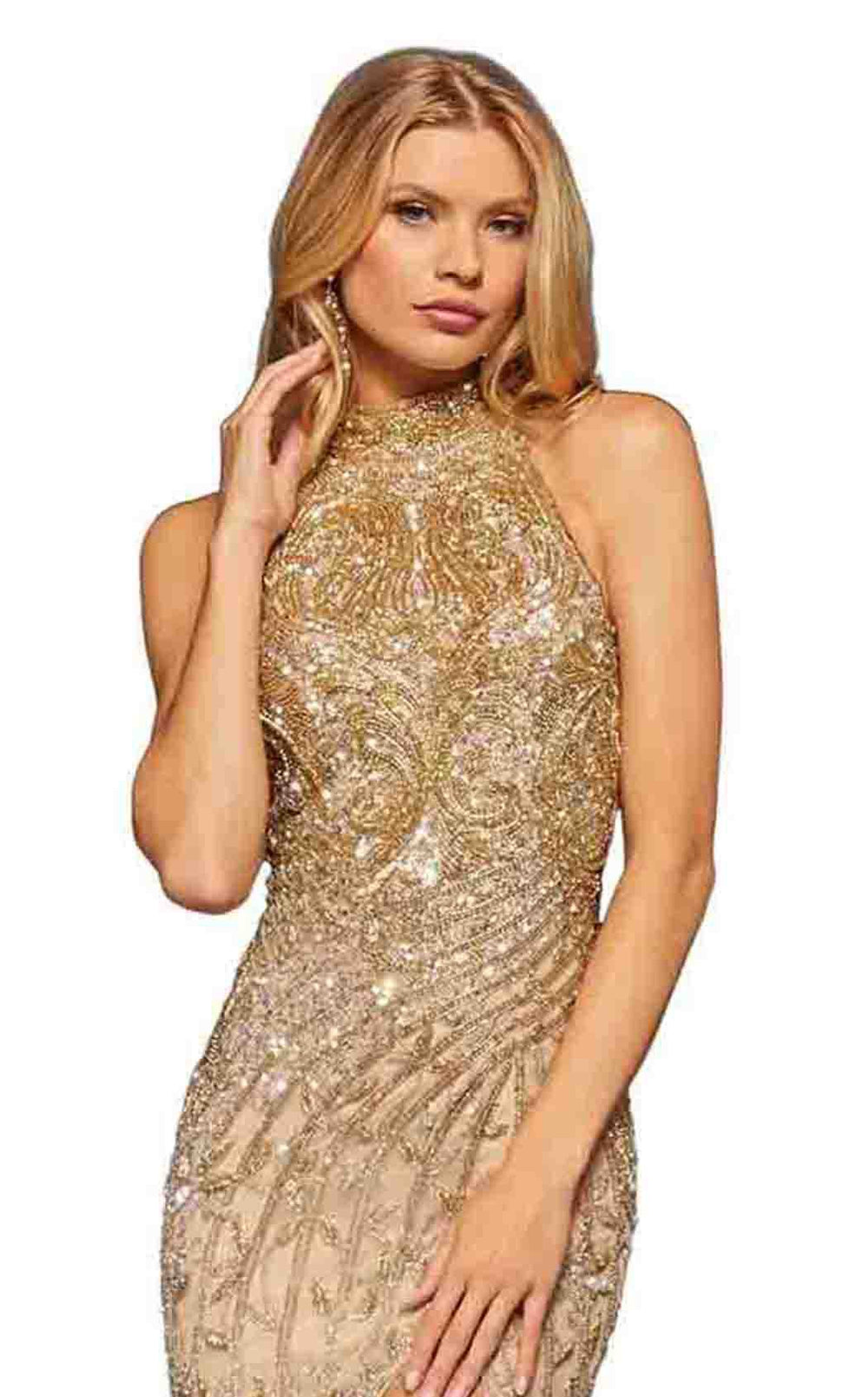 Sherri Hill 52426 Dress